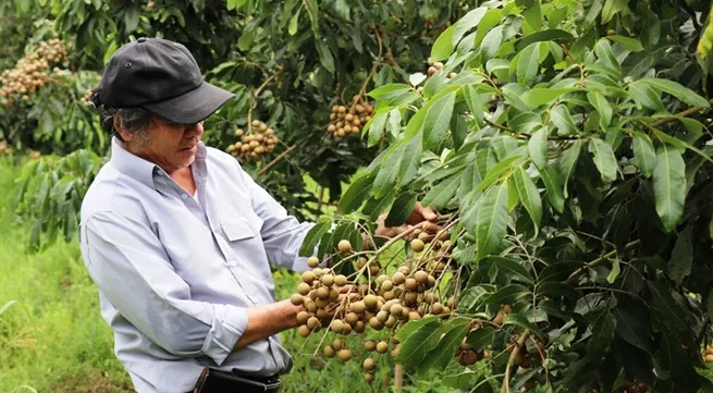 Tây Ninh encourages safe and high-quality farming