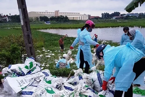 A/H5N6 bird flu detected on Hải Phòng farms