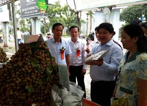 Sơn La longan week opens in Hà Nội