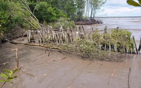 Mekong Delta provinces to combat coastal erosion and flood
