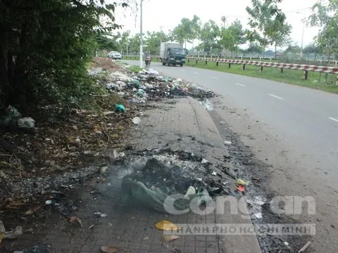 Untreated industrial waste piles up on street in HCM City