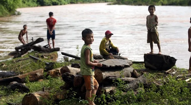 Điện Biên children risk lives fishing for wood