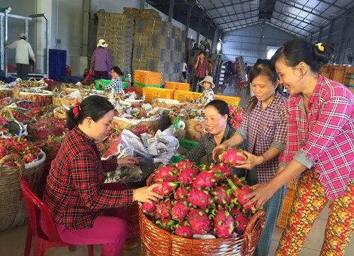 EU offers export opportunities