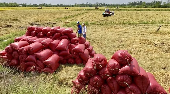 Cần Thơ eyes rice exports to China