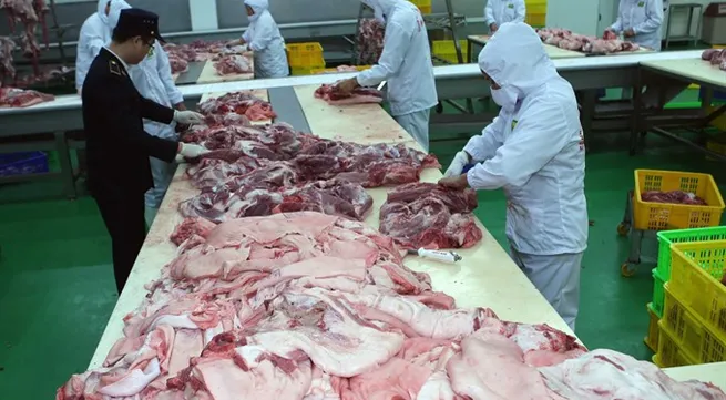 Pork price gains record high