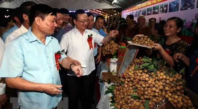 Hưng Yên Province holds longan festival