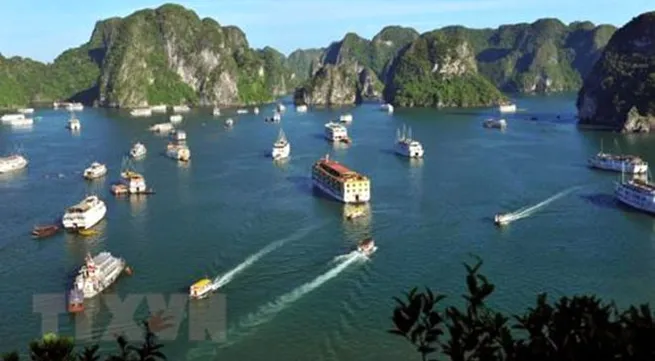 Five ’abandoned’ tourists get help in Hạ Long Bay