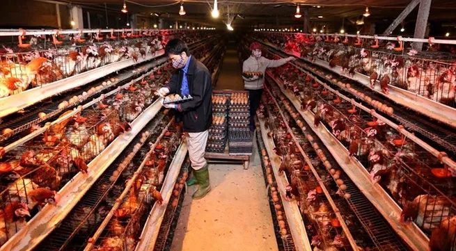 HN leads the nation in rural development