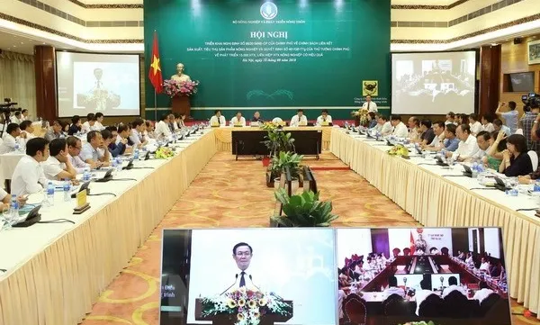 Co-operatives important to support farmers: Deputy PM Huệ