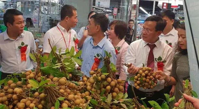 Lotte Mart hosts Sơn La longan promo