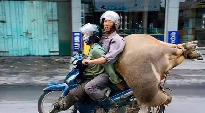 Overloaded mopeds in Việt Nam