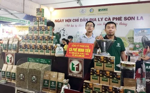 Sơn La coffee geographical indication announced