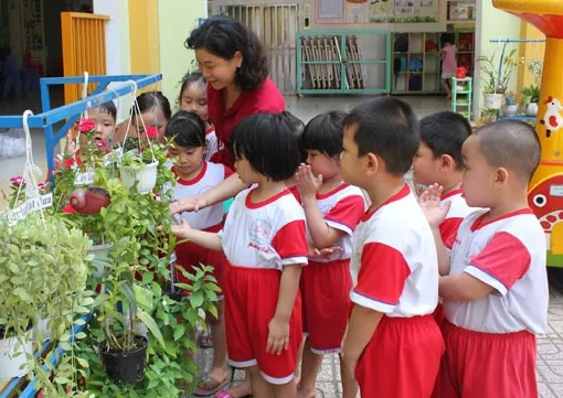 Bình Dương Province faces shortage of schools