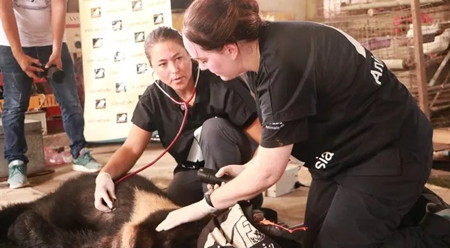 Endangered bears rescued from private farm