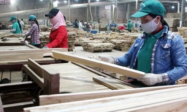 Forestry exports estimated to exceed $5.8 billion in 8 months