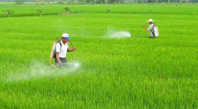 Herbicides must be better regulated