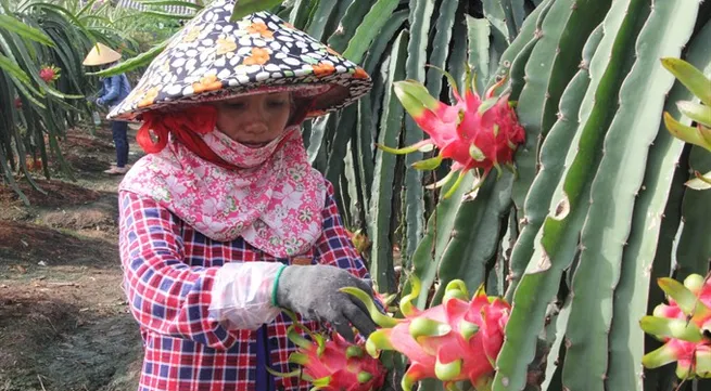 Blockchain to promote trading identity of VN exports