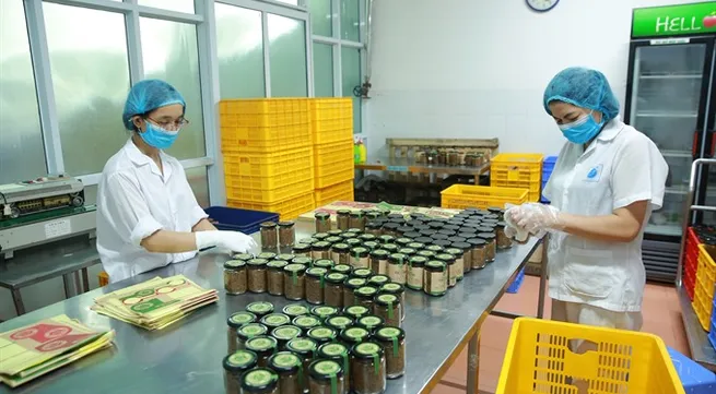 Business incubators see positive development