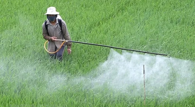 3 weed killer’s toxic active ingredients to be banned