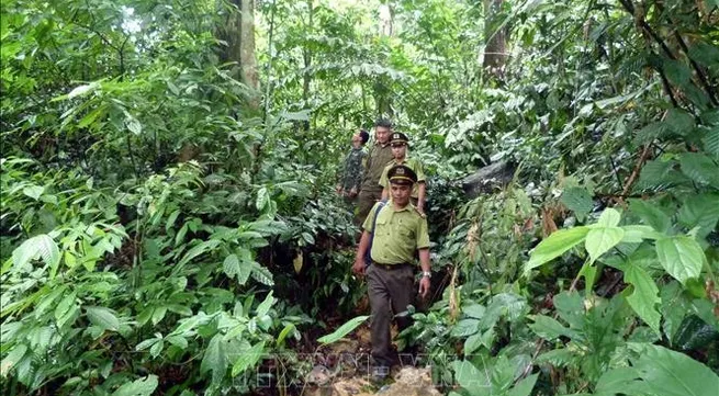 Finland helps Việt Nam to build forestry database