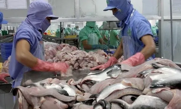 Investment capital in An Giang increases