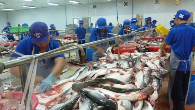 Seafood export earnings surge 6.8 percent in 11 months