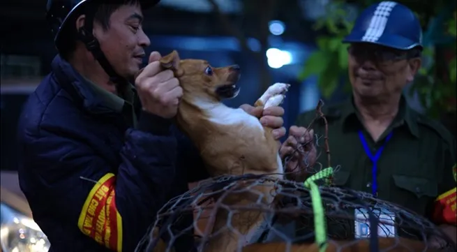 Dog crackdown welcomed by residents