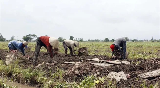 Việt Nam Farmers’ Union congress to convene