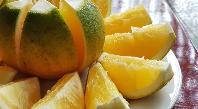 Cao Phong oranges to be served on Vietnam Airlines flights