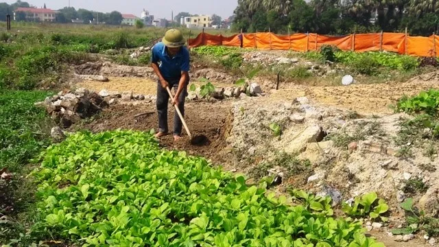 Over 1,200 tonnes of seed to assist disaster-hit provinces