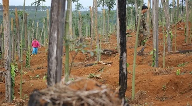 District official dismissed for land appropriation