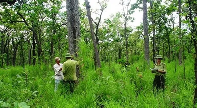 State-owned agriculture, forestry farm land needs stricter control