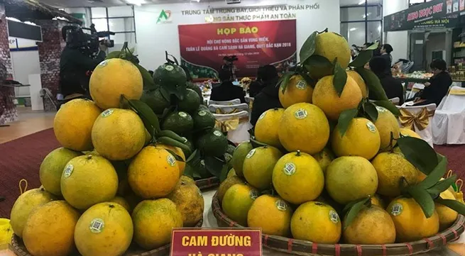 Hà Giang orange week to kick off next week