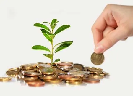 VN needs policies to encourge investment in start-ups