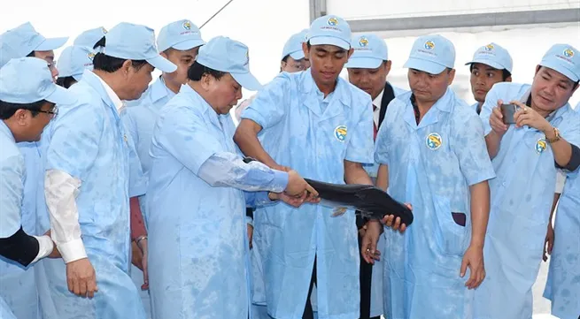 High-tech tra fish farm launched in An Giang