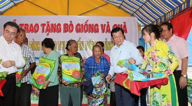 17 new bridges open to traffic in Long An