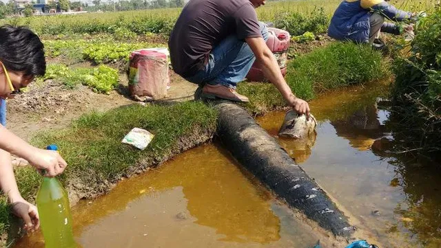 Thanh Hoa oil spill affecting thousands