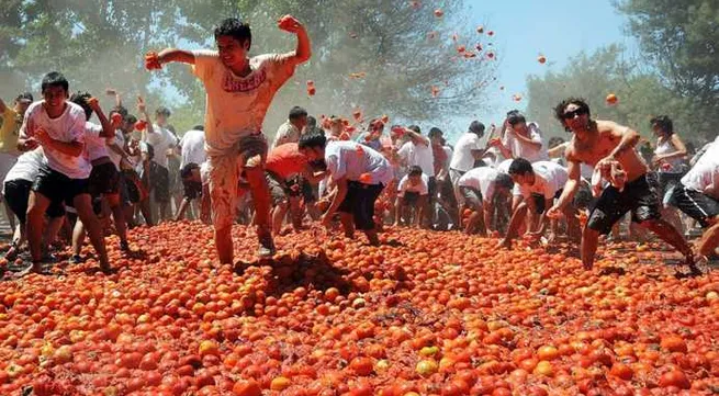 Thousands of party-goers throw tons of tomatoes at Spanish festival