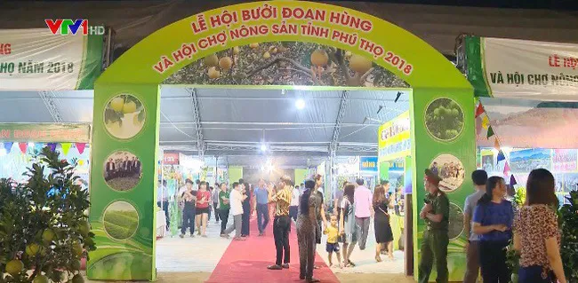 Phu Tho holds fair to promote local pomelos