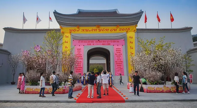 Yen Tu Cherry Blossom & Yellow Apricot Flower Festival 2018