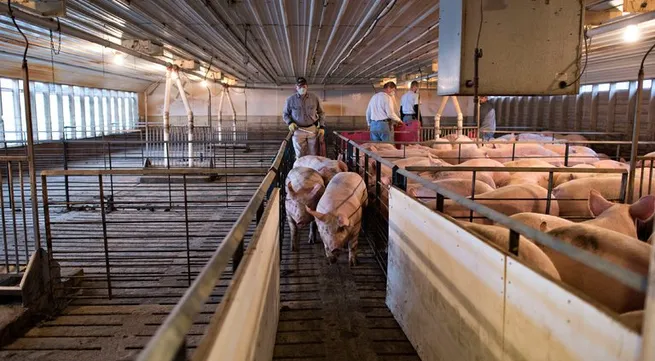 China to impose new tariffs on 128 US products