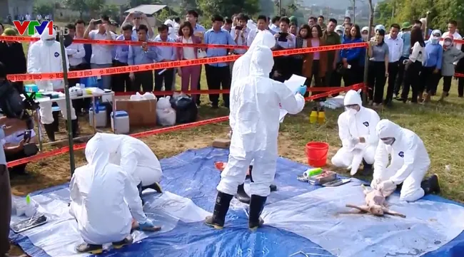 U.S. supports Vietnam in disease control