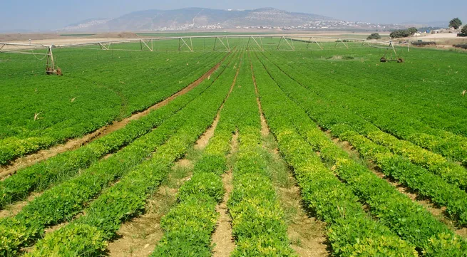 Israel enhances agricultural co-operation
