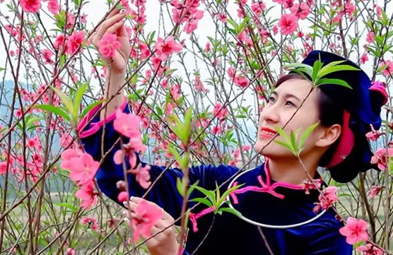 Peach Blossom Festival in Lang Son