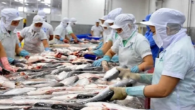 Vietnam's frozen fish fillets to face record high antidumping duties in U.S.