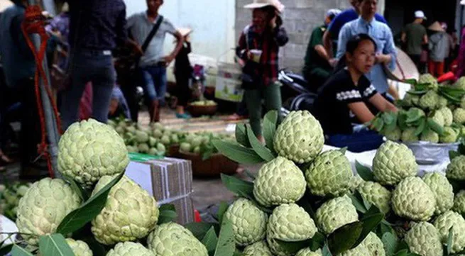Safe agricultural fair in Hanoi