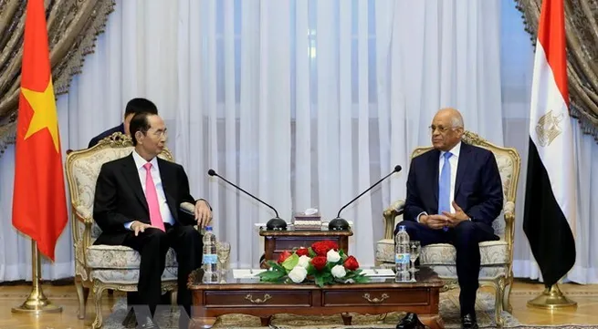 Vietnam maintains friendship with Egypt via different channels