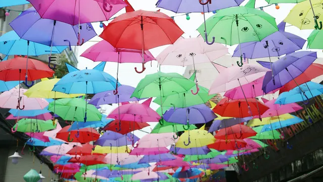 Van Phuc Village Festival attracts visitors