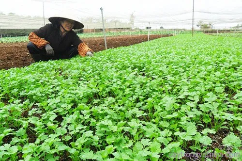 Changes in agricultural practices bring hopes