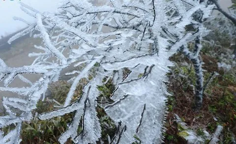 Northern mountainous provinces experience severe cold
